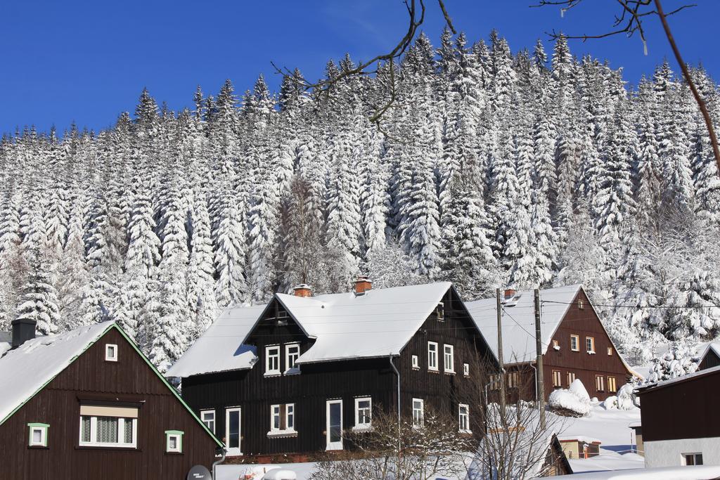 Ferienhaus Anno Dazumal, Wie Zu Oma'S Zeiten Apartment Klingenthal Ngoại thất bức ảnh