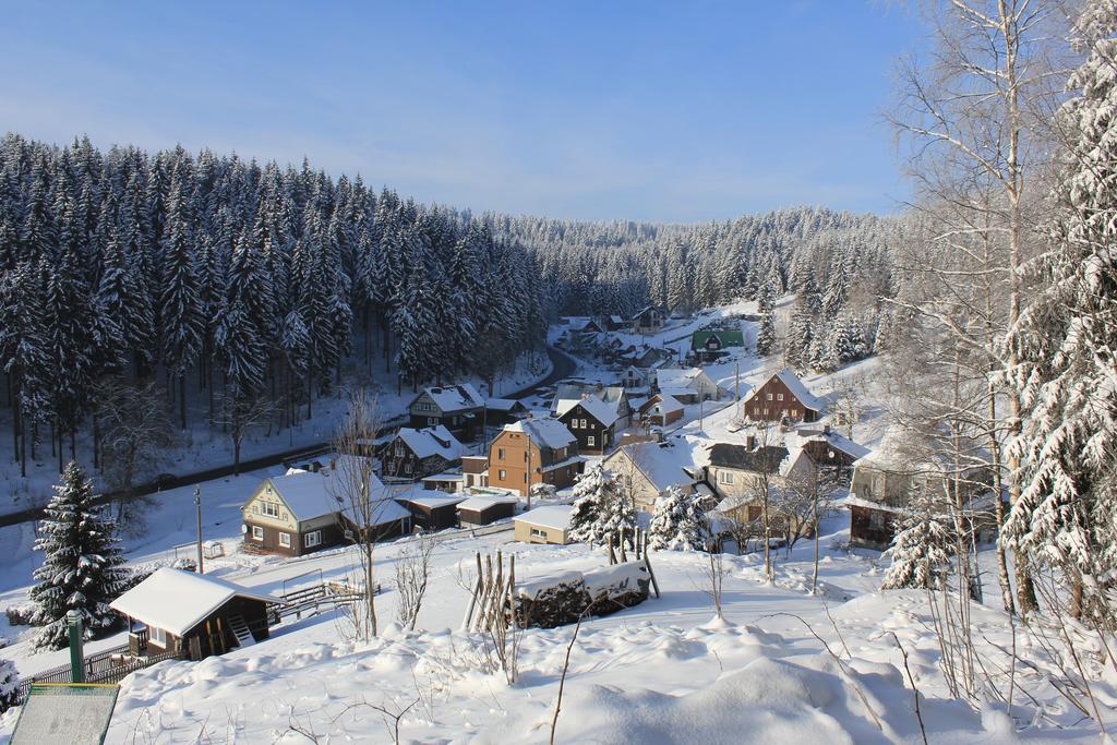 Ferienhaus Anno Dazumal, Wie Zu Oma'S Zeiten Apartment Klingenthal Phòng bức ảnh